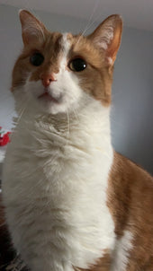 Oliver
