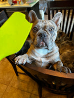 Walter