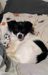 Zoe