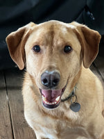 Jax
