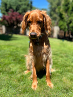 Remington