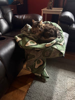 Indica 