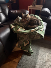 Indica 