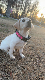 Winnie