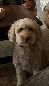 Rhett