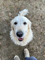 Sammy