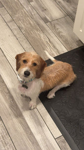 Peanut 
