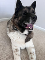 Mojo