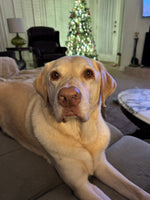 Barry 
