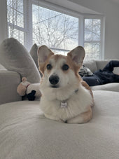 tobi