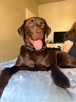 Charlie