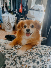 Sora