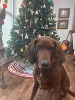 Hank