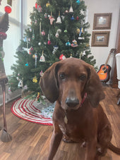 Hank