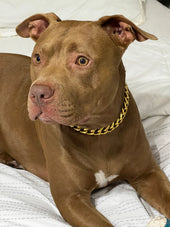 Romeo
