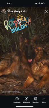 Shiloh