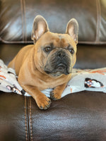Fred