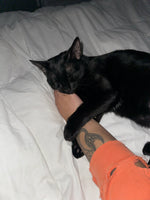 Nyx