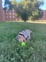 Oliver