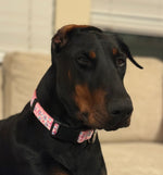 Nala