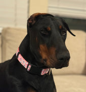 Nala