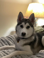 Kyra