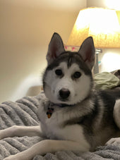 Kyra