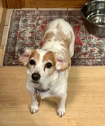 Peanut