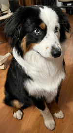 Milo