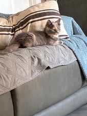 KitKat