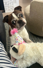 Lola