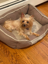 Toby