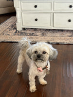 Bailey