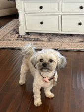 Bailey