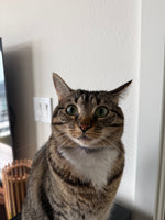 Frida