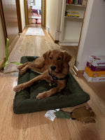 Duncan