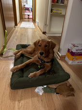 Duncan