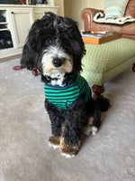 Oliver
