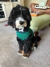 Oliver
