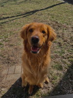 Penelope 