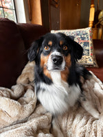  Nellie