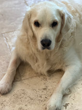 Monty