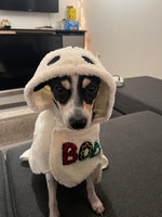 Izzy