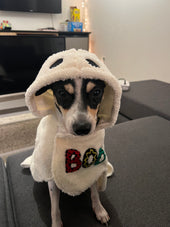 Izzy