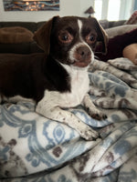 Luna Bean