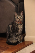 Roxie