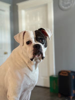Penny