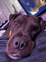Nyx