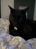 Sirius