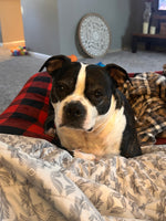 Cooper